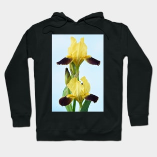 Bearded iris Hoodie